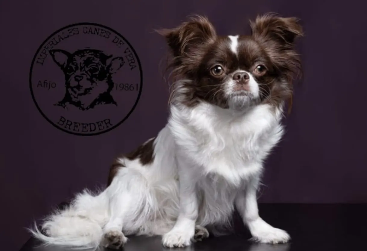 portada-portada-home